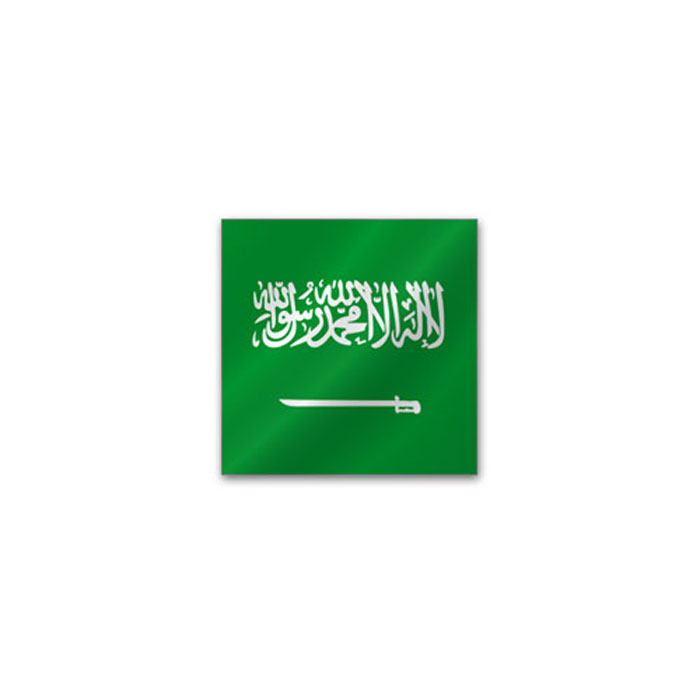 Saudiska Ambasada