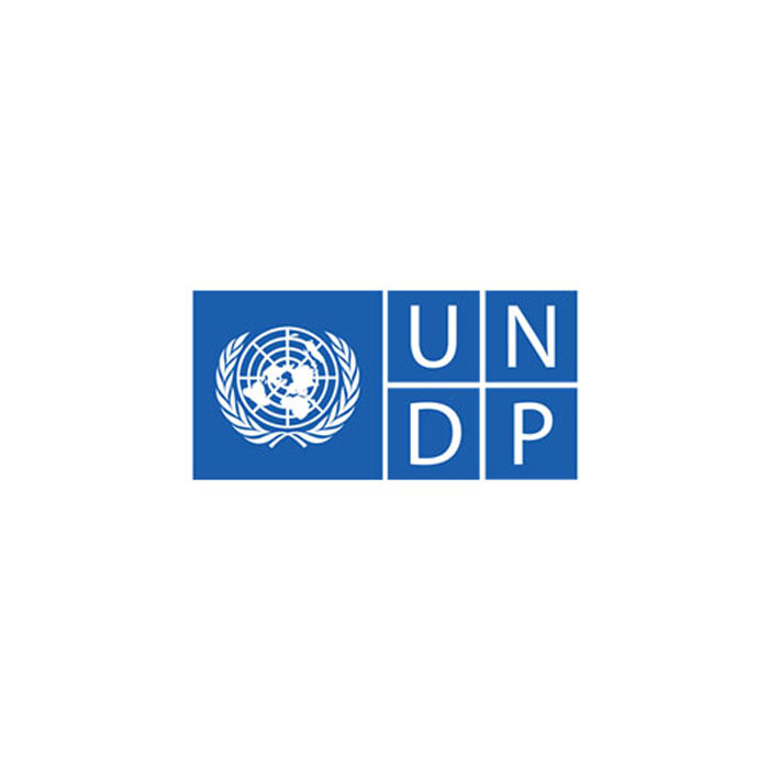 UNDP