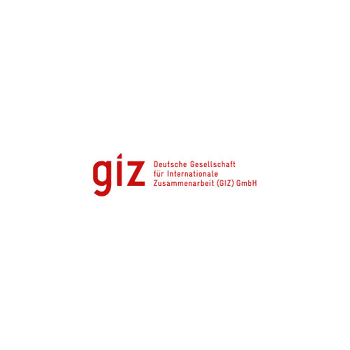 Giz